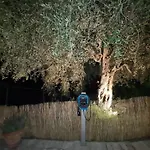 Casa Ulivi E Mare Ventimiglia