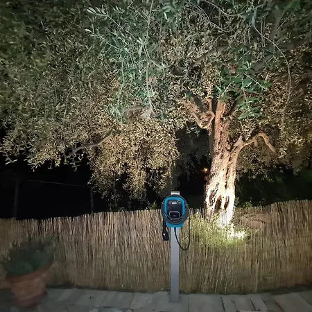 Casa Ulivi E Mare ונטימיגליה