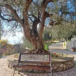 Casa Ulivi E Mare 文蒂米利亚