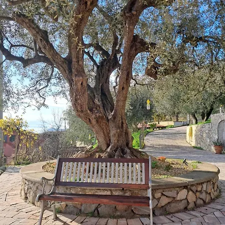 Casa Ulivi E Mare Вентимилья