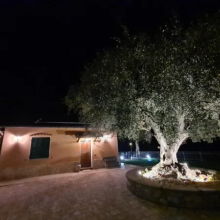 Casa Ulivi E Mare *