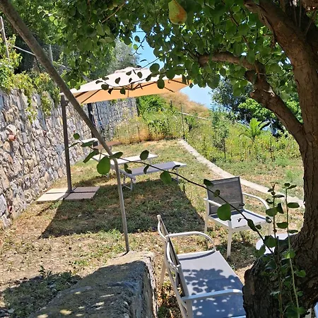 Вилла Casa Ulivi E Mare *