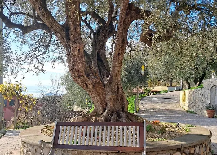 Casa Ulivi E Mare Ventimiglia