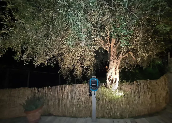 Casa Ulivi E Mare Ventimiglia